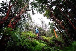 BIB: 
                            <button type="button" onclick="openModal(26202676)" class="btn btn-primary btn-sm float-right btn-popup" data-toggle="modal" data-target=".modal-high-quality">
                        <i class="fas fa-shopping-cart"></i> Add to Cart
                    </button>
                                            <button type="button" onclick="isThisMe(26202676, true)" class="btn btn-success btn-sm float-right btn-popup btn-isme hidden" data-toggle="tooltip" data-placement="bottom" title="นี่คือรูปของคุณใช่ไหม คลิกที่นี่เพื่อเอาเข้าอัลบั้ม">
                        <i class="fas fa-plus"></i> Add to album
                    </button>
                    <button type="button" onclick="isThisMe(26202676, false)" class="btn btn-warning btn-sm float-right btn-popup btn-isnotme hidden">
                        <i class="fas fa-ban"></i> Remove from album
                    </button>